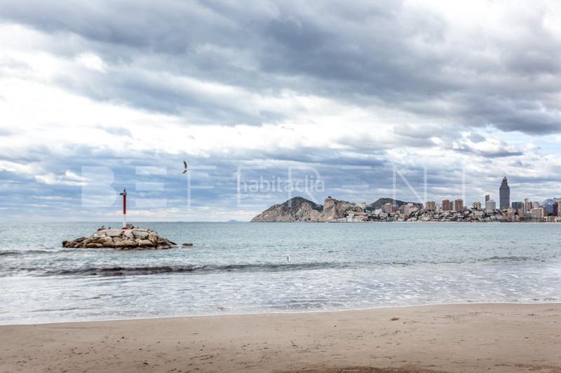 Foto 0a1db40e-c596-4e48-9808-b9a1da1fb607. Alquiler apartamento alquiler temporal en pleno en Benidorm