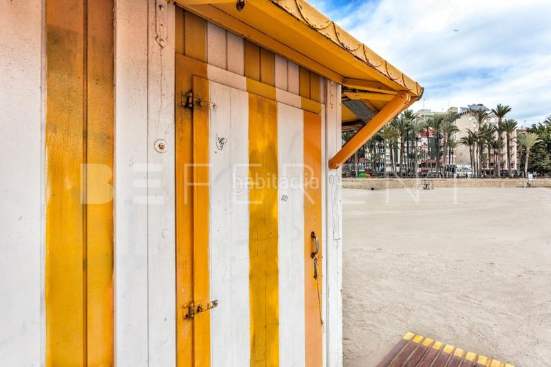 Foto 55c6d19a-1c33-48dd-bda9-e5db504f44ae. Alquiler apartamento alquiler temporal en pleno en Benidorm