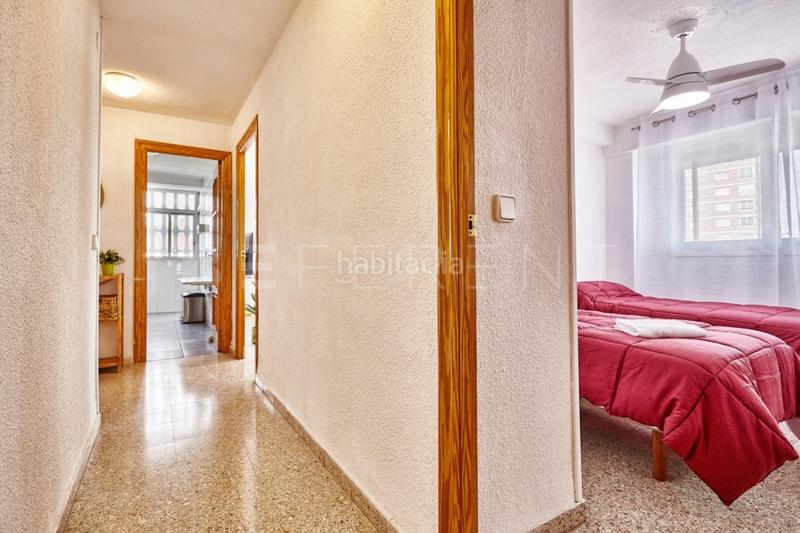 Foto 9a2808b7-3a85-47a5-b448-dd2796d9cfbe. Alquiler apartamento alquiler temporal en 2 linea de playa en Alicante