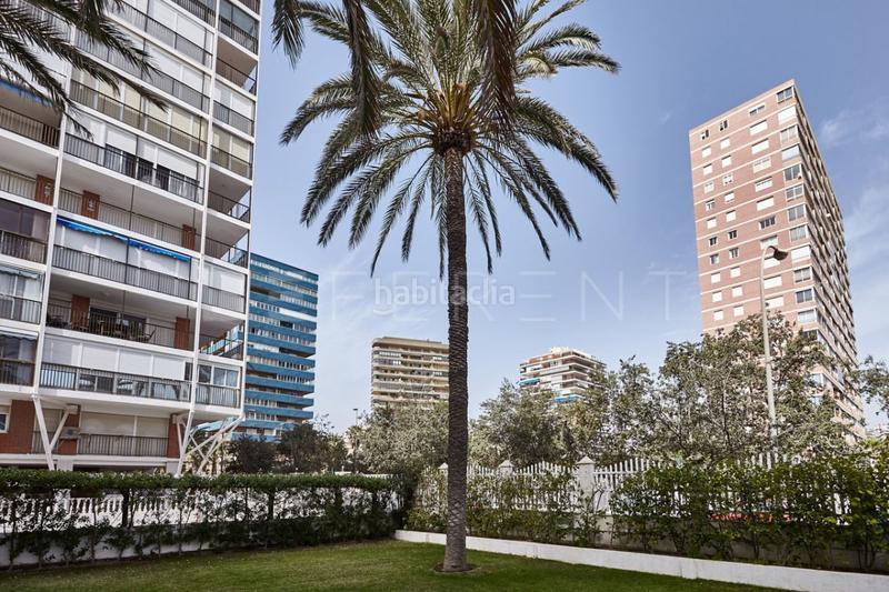 Foto 1006d06b-9c28-4ae6-b84e-022a0612478b. Lloguer apartament amb aparcament a Playa de San Juan Alicante