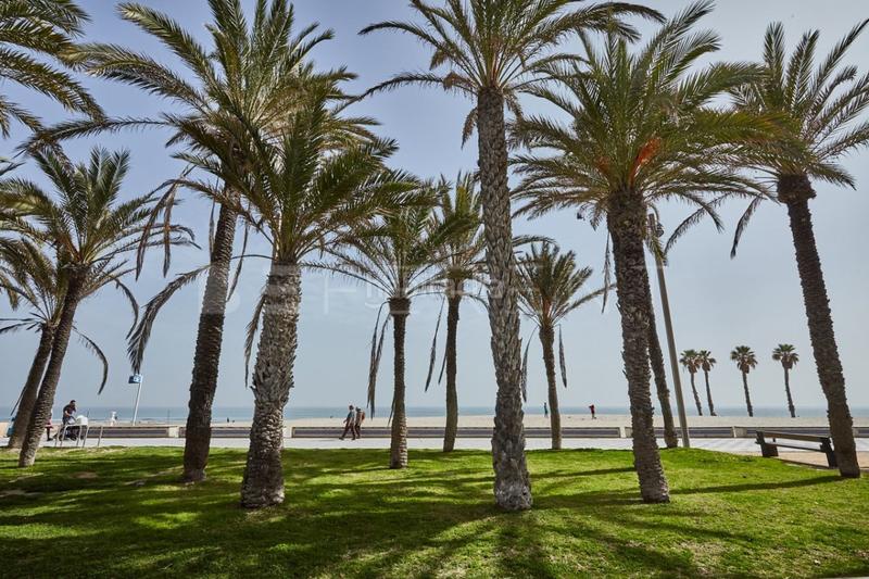 Foto 6bb21d95-76ed-4d60-8208-8e9fa7686b01. Lloguer apartament amb aparcament a Playa de San Juan Alicante