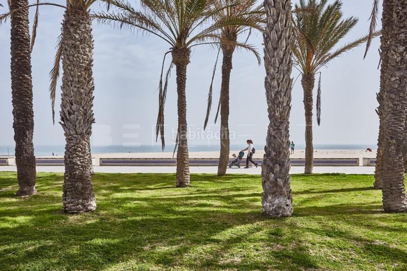 Foto 7ec80a2f-6127-4e5a-999e-7a39e8c0dd55. Lloguer apartament amb aparcament a Playa de San Juan Alicante