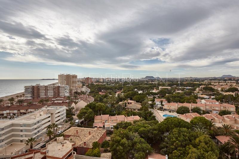 Foto 41d228be-f47c-4e40-966e-d0784f6446b2. Affitto piccolo appartamento con riscaldamento parcheggio piscina in Campello (el)