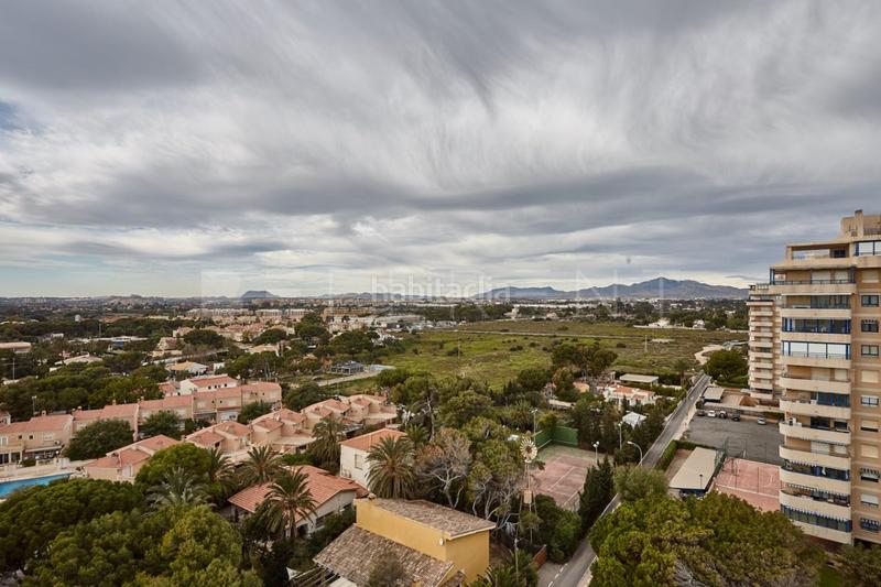 Foto 212b0b2e-d66b-47b7-9267-4b2006cdd60c. Alquiler apartamento alquiler temporal en 1 linea de Playa Muchavista en Campello (el)