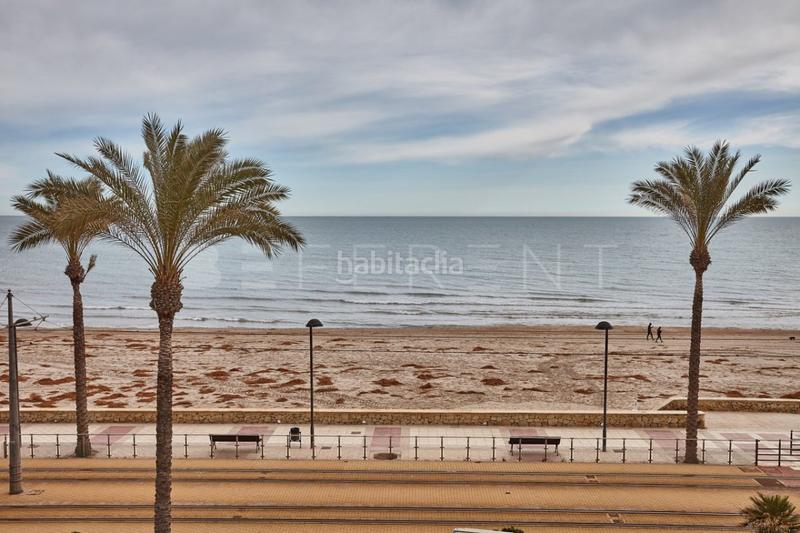 Foto 441f71f7-1120-4126-8fa2-2e518263d25d. Alquiler apartamento alquiler temporal en 1 linea de Playa Muchavista en Campello (el)