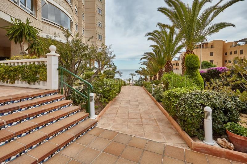 Foto aaea7805-9474-4184-974b-6e786d7a3d23. Alquiler apartamento alquiler temporal en 1 linea de Playa Muchavista en Campello (el)