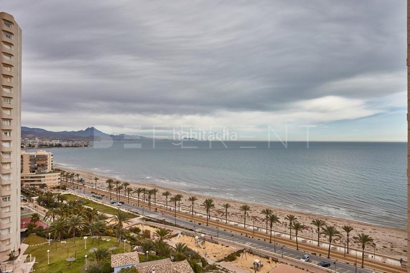 Foto d7c156cd-82eb-480b-b4a7-7906980ece63. Alquiler apartamento alquiler temporal en 1 linea de Playa Muchavista en Campello (el)