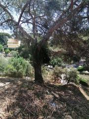 Terreny residencial a Can Massuet del Far. Venta terreno en can massuet   dosrius