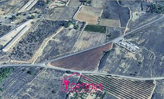 Finca rstica en Turs. Terreno en turs