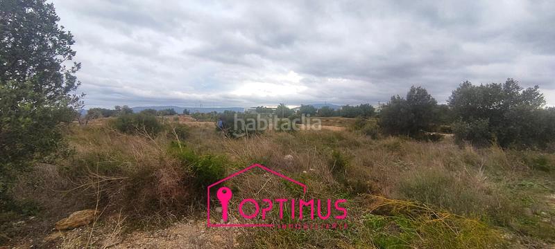 Foto 06e682a7-870e-4252-9cc9-4ce4b261c8f6. Finca rústica a Turís