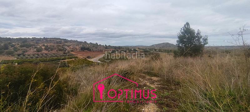 Foto 2fee68e2-f5a2-4d05-8f43-d2fc81b7fefd. Finca rústica a Turís