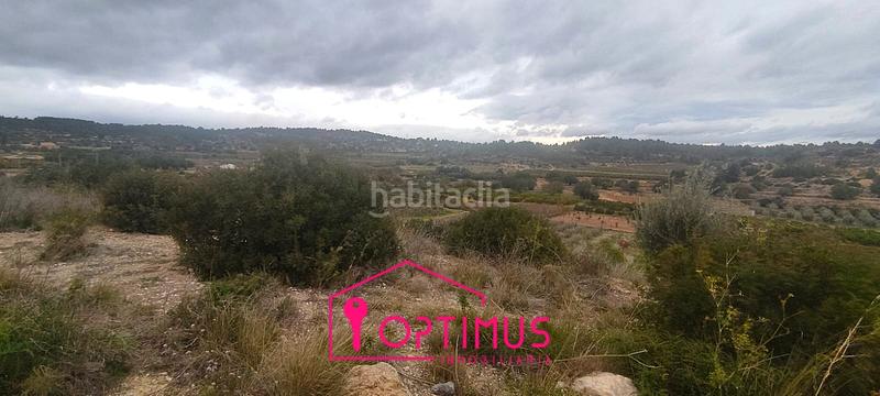 Foto 7084467e-361a-47bc-a51b-8bc2cd18a2b7. Finca rústica a Turís