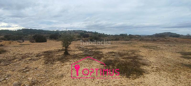 Foto a4afc351-aa5d-4b4d-9693-ea784fb6b178. Finca rústica a Turís