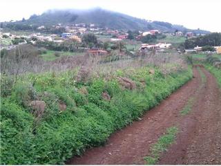 Finca rústica a Las lagunetas 1. Terreno rústico en la esperanza  2.000 m con vistas y ubicación