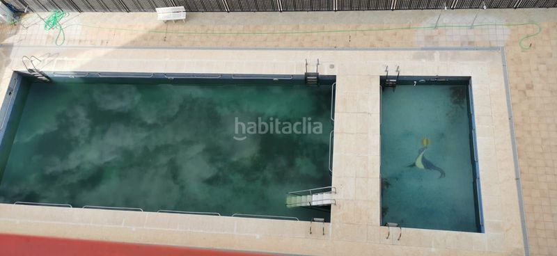 Foto c8a68873-2bec-4f86-a4f4-b943479f39b4. Lloguer pis amb piscina a Torreblanca