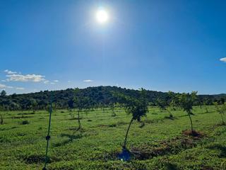Finca rústica  N/a. Excelente oportunidad de terreno rústico
