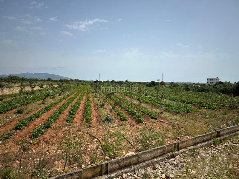 Foto cb908454-ab4b-4ad6-9fdb-8aa4cda794e8. Finca rústica a Torreblanca