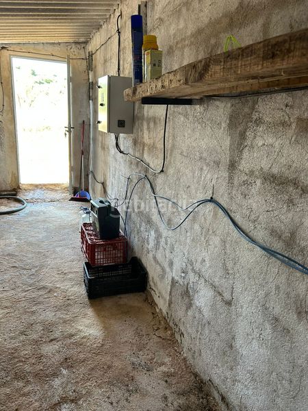 Foto e2816e1b-f331-4370-8a09-bb11deb8c2b4. Finca rústica a Torreblanca