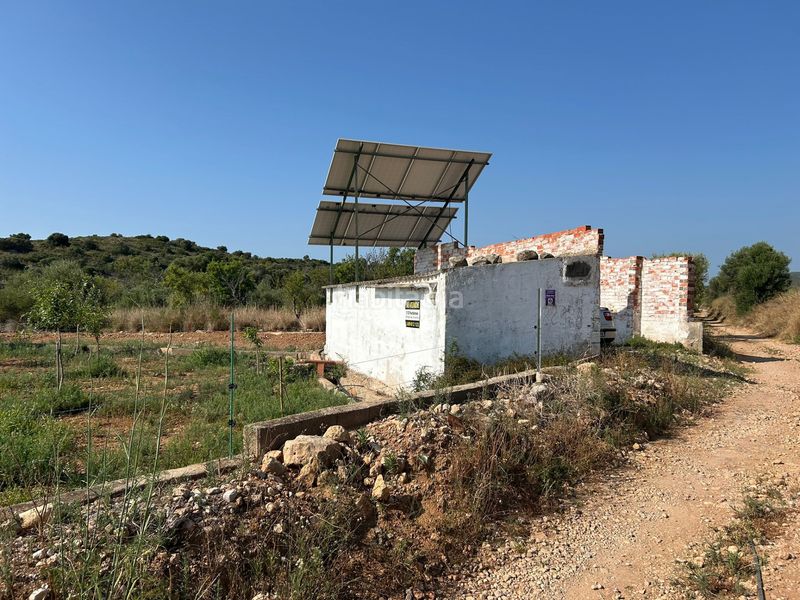 Foto ebec3c92-4e19-4193-a22f-be20f5cf6a53. Finca rústica a Torreblanca