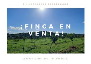 Finca r�stica en Torreblanca. Finca r�stica de 11.720 m� en cabanes (castell�n), junto al t�rm