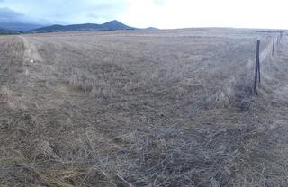 Masia a Valdesalor - Rincón de Ballesteros. Parcela de 6100 m2 al lado del cordel en sierra de fuentes