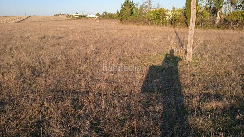 Foto 6f82db69-dbd8-49b7-9c68-32f50ccca298. Casale in Valdesalor - Rincón de Ballesteros Cáceres