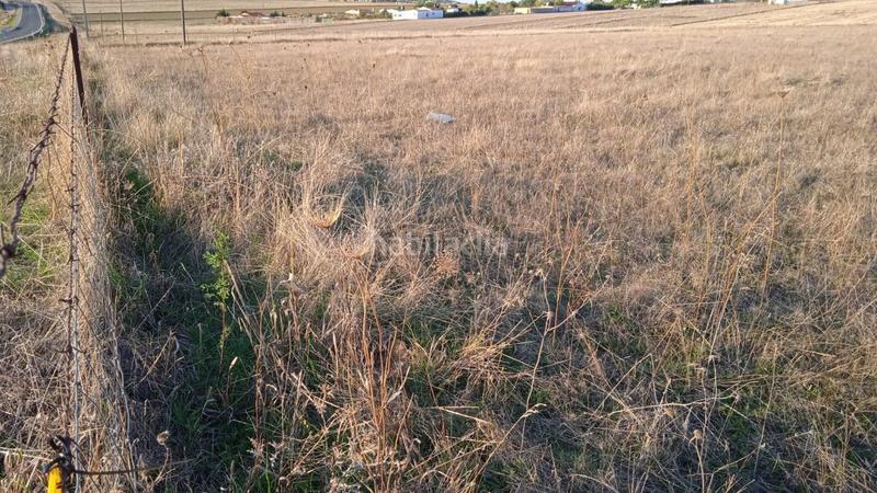 Foto 992edbe5-4d73-4b63-9deb-ffc080ab7fba. Casale in Valdesalor - Rincón de Ballesteros Cáceres