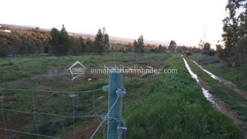 Foto b62f0c48-1925-41c0-9f7a-c40d50974292. Finca rústica a Valdesalor - Rincón de Ballesteros Cáceres