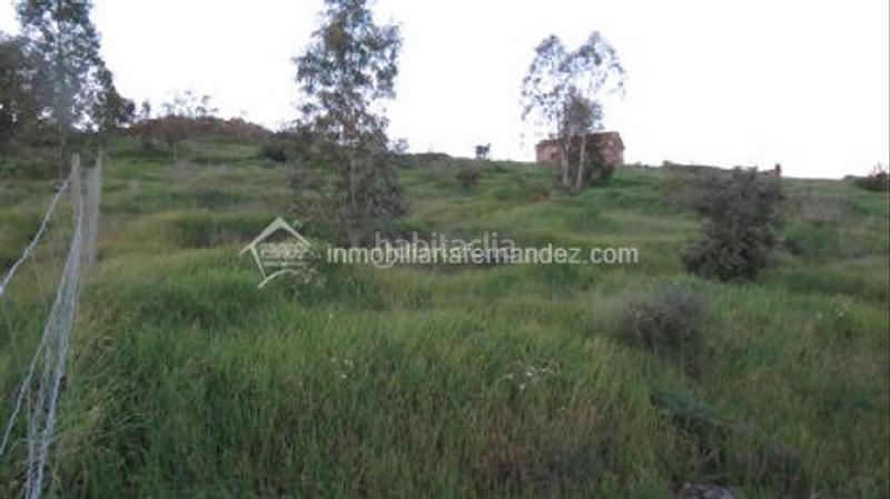 Foto d19c79e1-afc4-49c0-8720-99a1fd3ed25d. Finca rústica a Valdesalor - Rincón de Ballesteros Cáceres