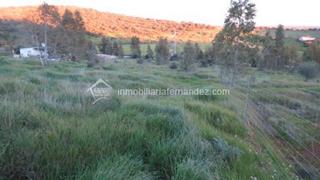 Finca rústica a Valdesalor - Rincón de Ballesteros. Oportunidad!! parcela de 2500m2 totalmente vallada en arropez a