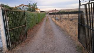 Propriété à Sierra de Fuentes. Bonita y cuadrada parcela en sierra de fuentes.