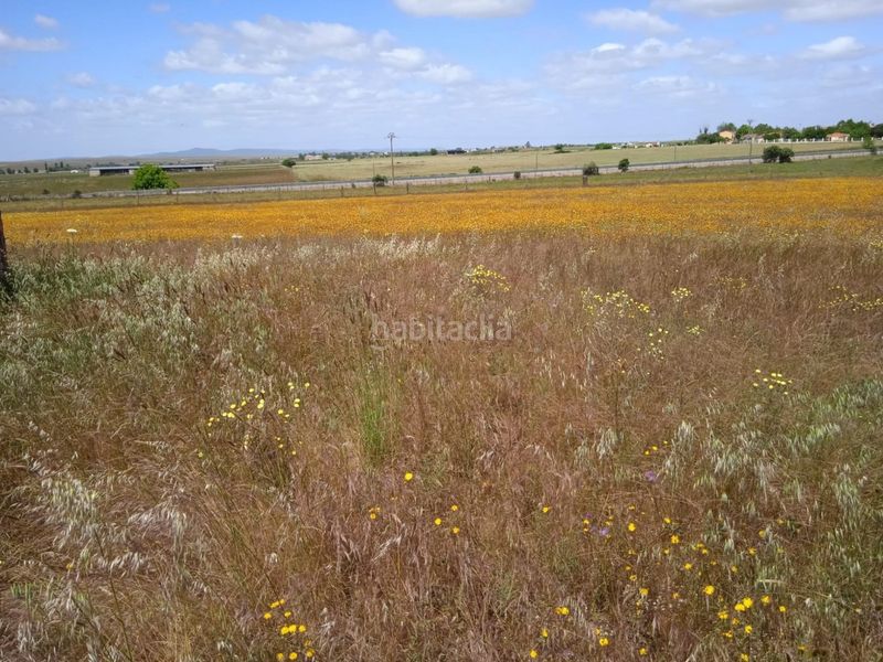 Foto b5c5cef2-6b08-4d74-8902-fb7aa0ad1a88. Casa a Valdesalor - Rincón de Ballesteros Cáceres