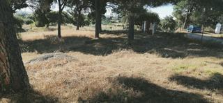 Maison à Garrovillas. Parcela de recreo con casa en garrovillas