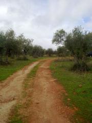 Country house in Ceres Golf. Finca rústica en cáceres