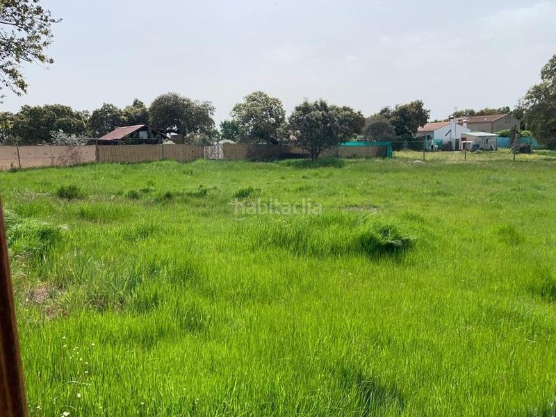 Foto 2802acbf-f37c-4aa8-a63e-2275a061d007. Bauernhof in Estación Arroyo Malpartida Cáceres