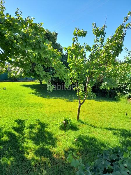 Foto ee2f1cd5-fece-4302-9dcb-982d4b6f5c0f. Chalet espectacular vivienda hecha a capricho !! en Cáceres