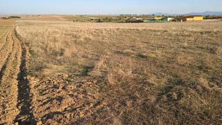 Masia a Valdesalor - Rincón de Ballesteros. Parcelas en sierra de fuentes