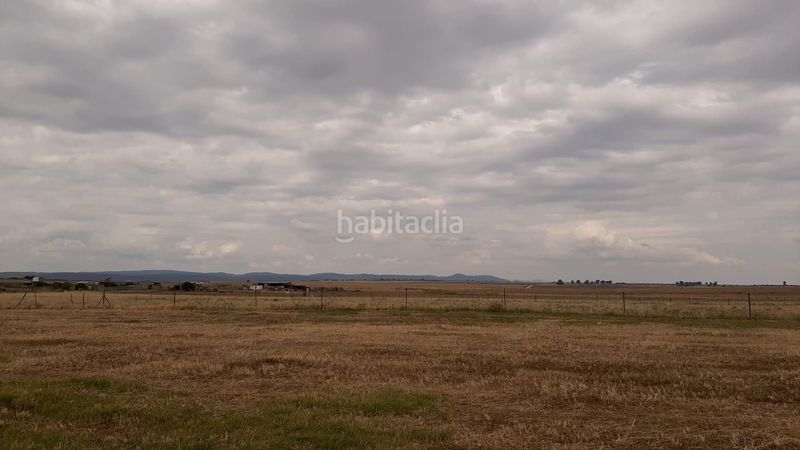 Foto 8bb8c8cb-269c-47d7-8183-713fe1a7d770. Masia a Malpartida de Cáceres