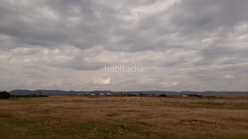 Foto b3bd6125-8ea1-43b7-9100-c579aa8a9e9c. Masia a Malpartida de Cáceres