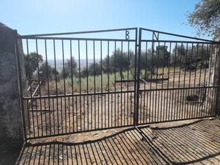 Propriété à Sierra de Fuentes. Precioso olivar en sierra de fuentes