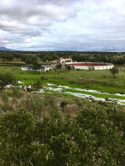 Casa a Arroyomolinos. Impresionante finca  cortijo