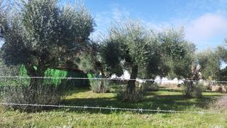 Terreny residencial a Aldea del Cano. Estupenda parcela urbana en el centro de aldea del cano