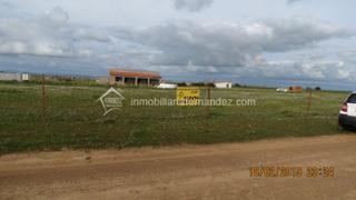 Finca rústica a Valdesalor - Rincón de Ballesteros. Parcela de 4000m2 semi vallada por el cordel cercana a ctra. de