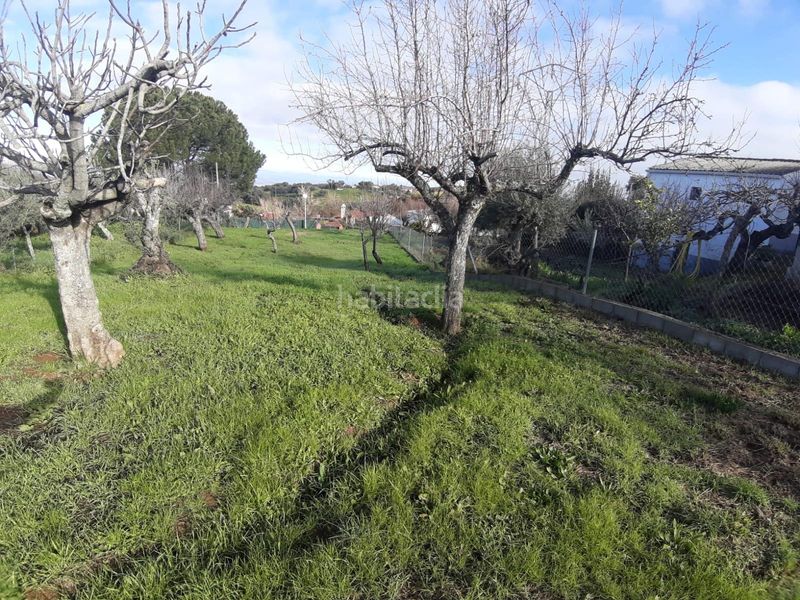 Foto 4d119233-efcb-4c50-b744-3261aafc4d52. Terreno residencial terreno urbano en Cañaveral
