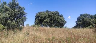 Propriété à Arroyo de la Luz. Terreno de 2800 m2 en zona ermita!