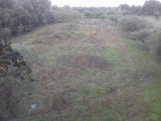 Propriété à Arroyo de la Luz. Oportunidad!!