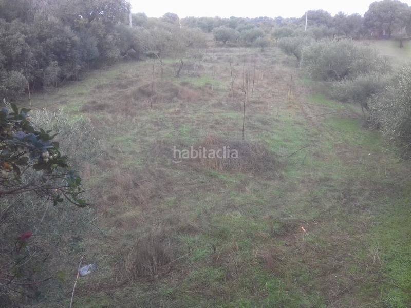 Foto f465f1db-cd0b-4b00-b888-d81e6972ec1b. Finca rústica a Arroyo de la Luz