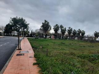 Terrain résidentiel à Casar de Cáceres. Parcela en pleno centro del casar de cáceres