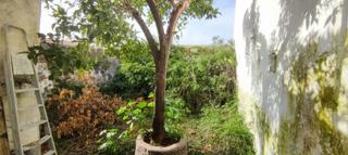 Casa a Aldea del Cano. Enorme casa con gran patio!!