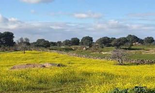 Finca rústica a Aldea del Cano. Finca rústica de 250.000 m2!!